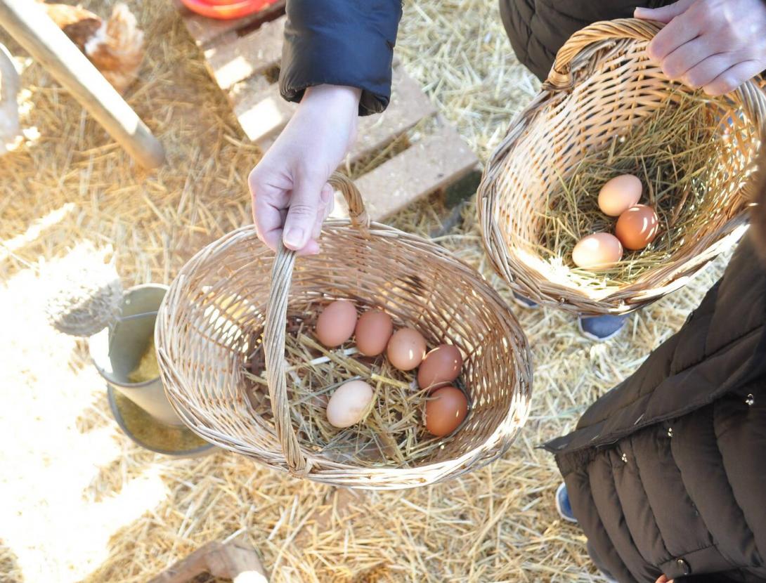 Matins i Capvespres a pagès