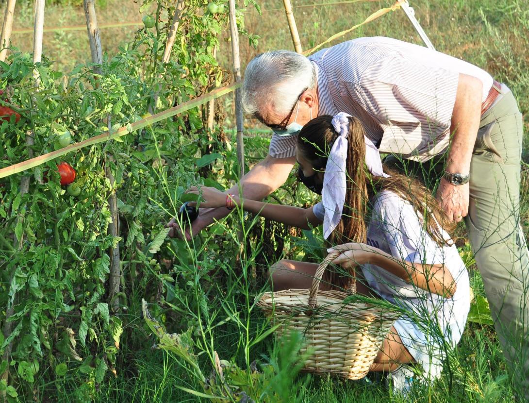Matins i capvespres a pagès