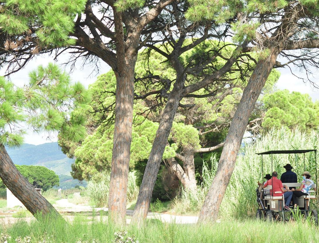 Matins i capvespres a pagès