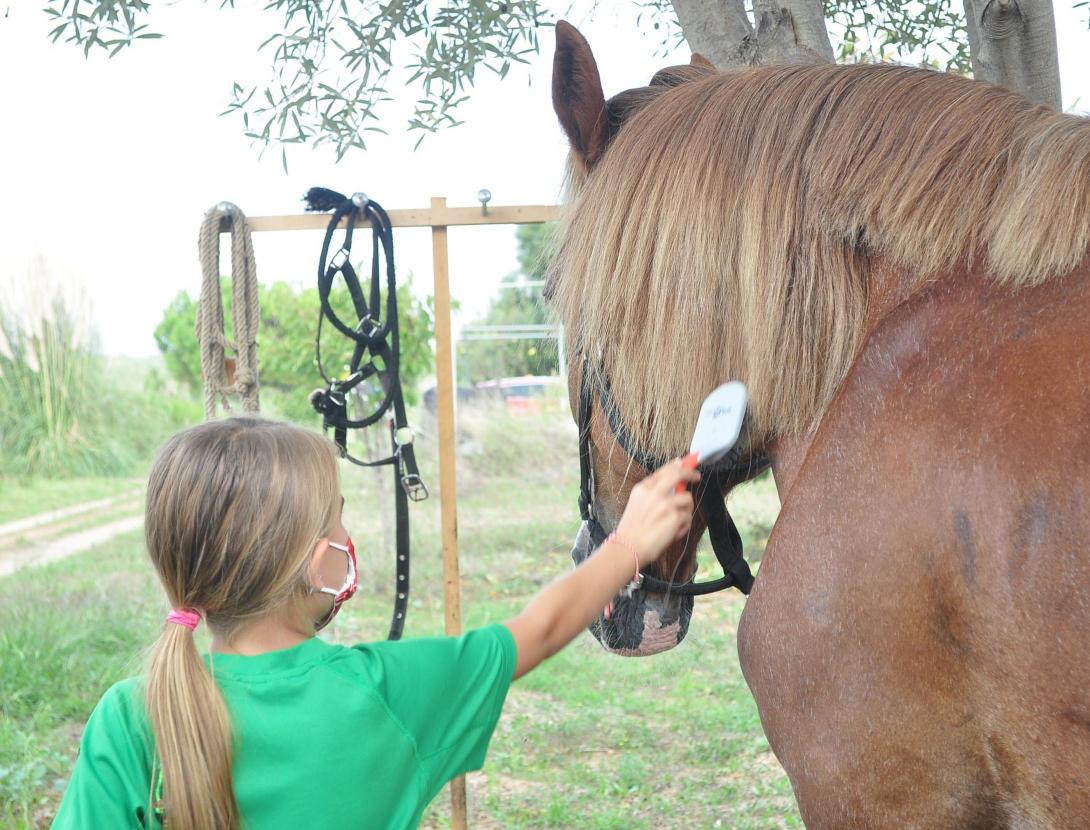 Matins i capvespres a pagès