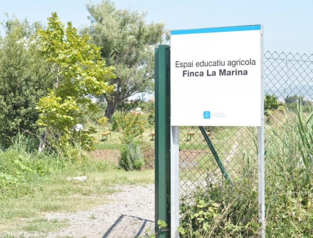 Plantació popular a la Finca de la Marina