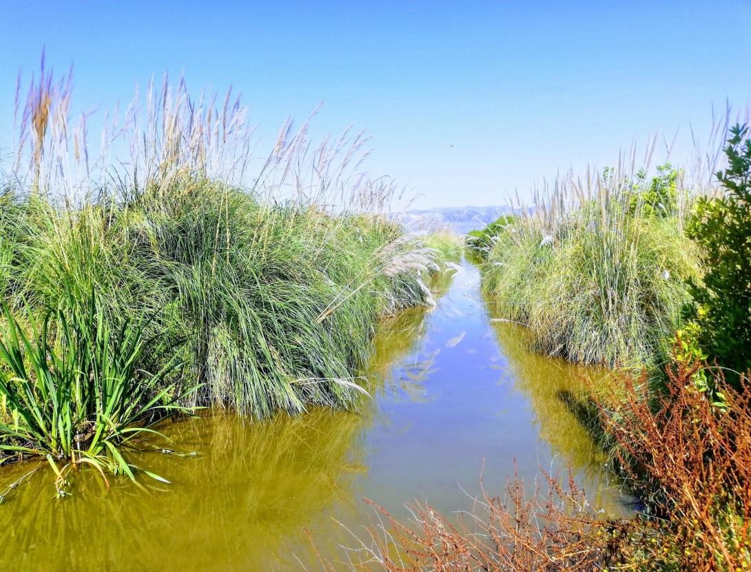 CAMINS SECRETS DEL LLOBREGAT - Descobreix els senders del Baix Llobregat !