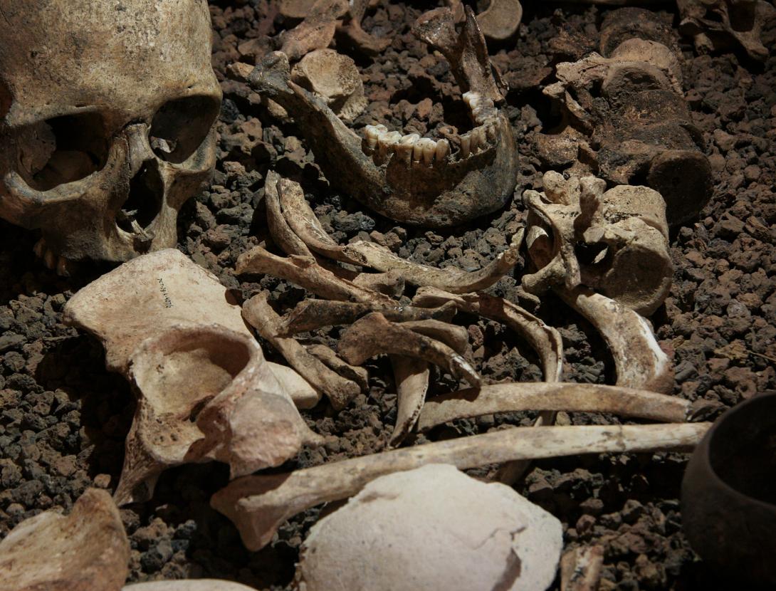 Enterrament fig 10 J casanova.jpg