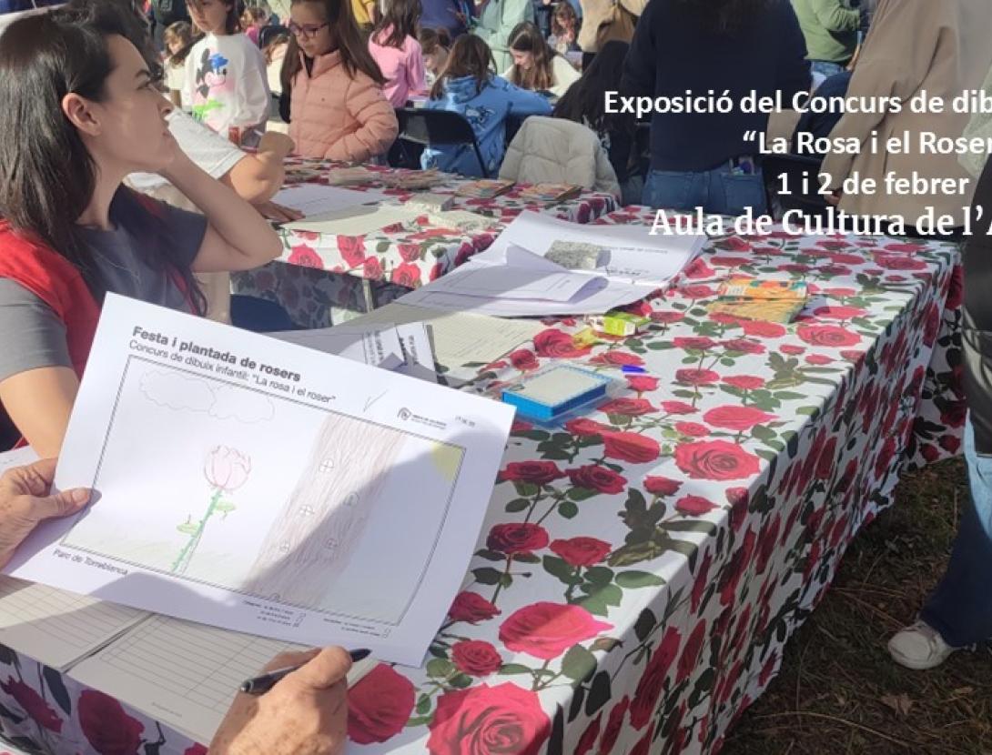 Plantada de rosers al parc Torreblanca