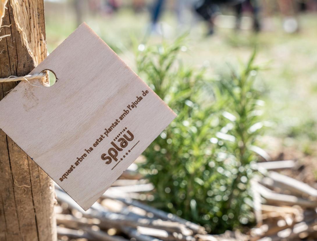 Plantació de 150 arbres amb Splau a la Festa del Riu de Cornellà