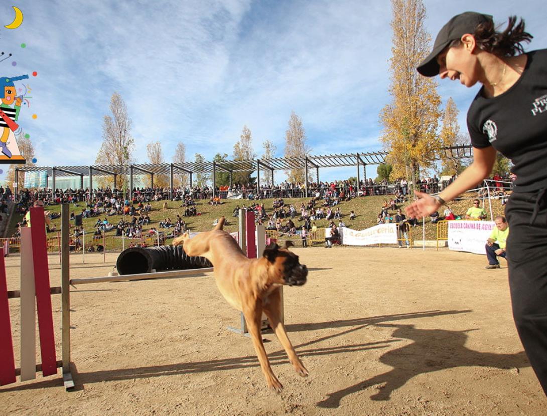 VI Trobada d’animals &amp; cia.