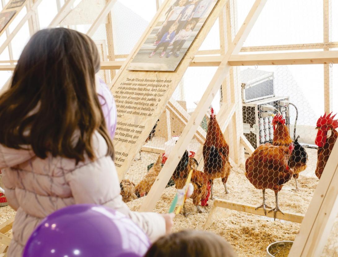 Fira Avícola de la Raça Prat