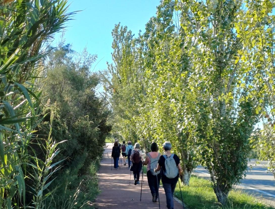 Respira Viladecans a pas de marxa. Sortida de marxa nòrdica fins a la Platja de la Pineda