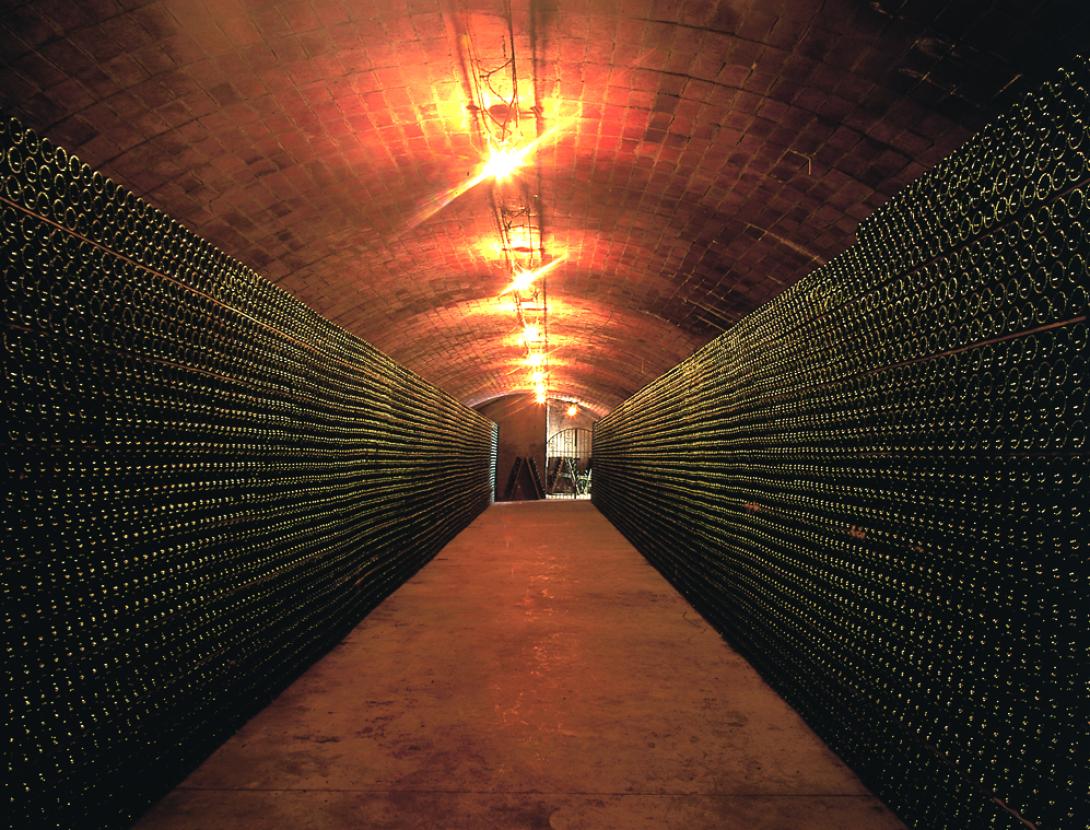 VISITA AL CELLER I MUSEU DEL VI RAMON CANALS AMB DEGUSTACIÓ