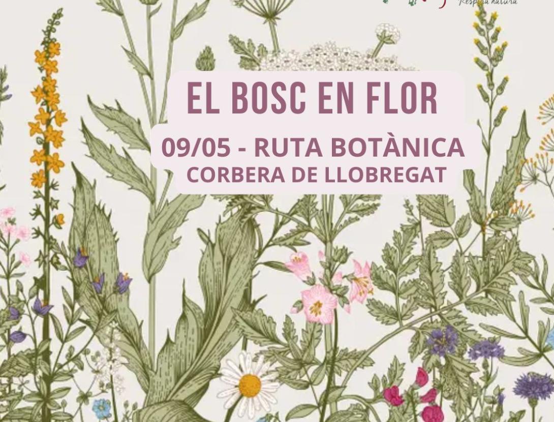 El bosc en flor