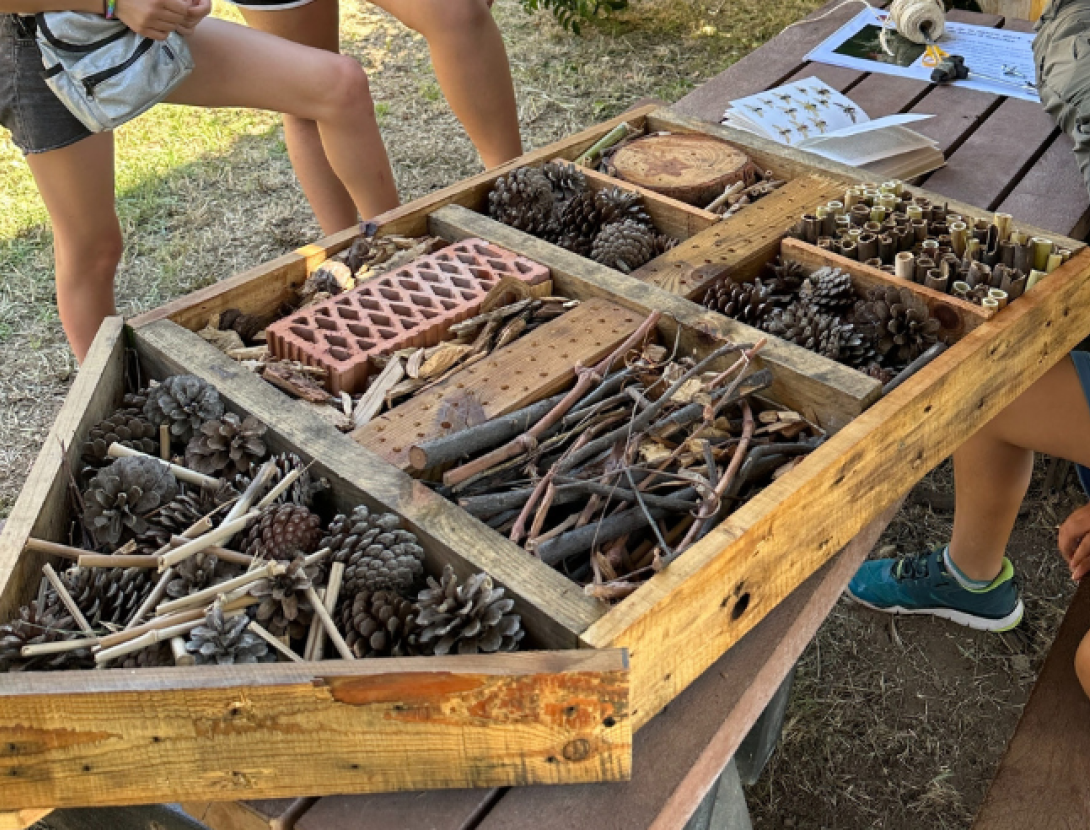 Jugatecambiental. Hotel d’insectes