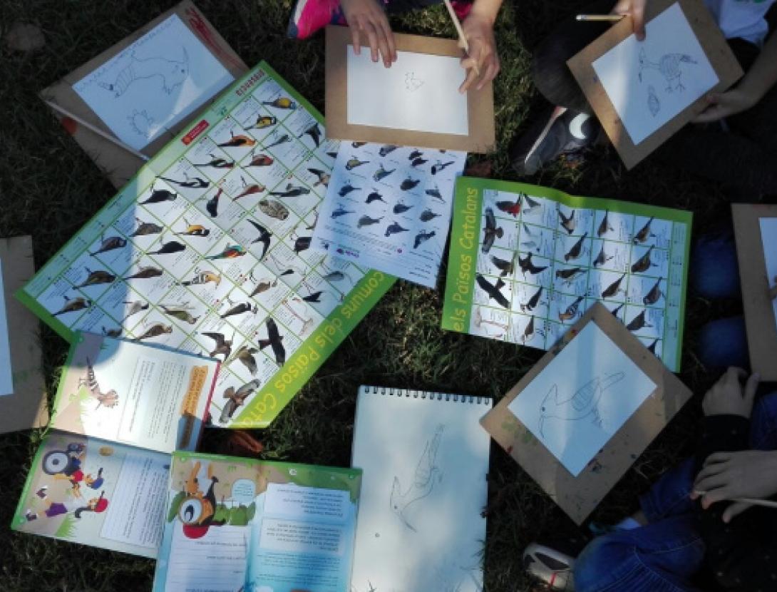 Jugateca del parc del Riu: Dibuixem la biodiversitat