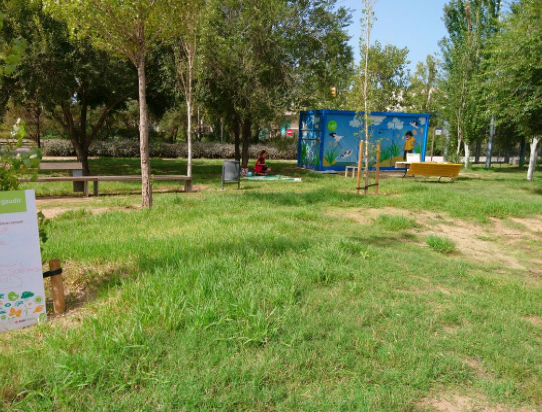 Jugateca del parc Nou: Art rupestre