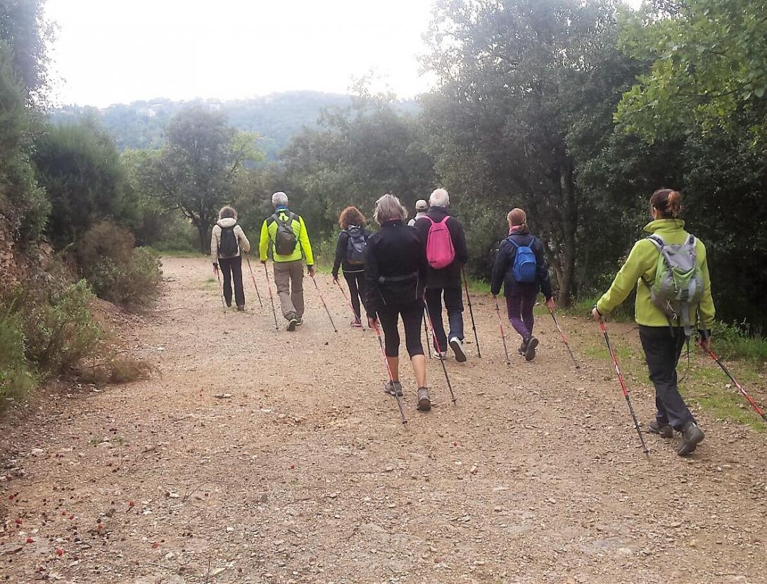 MARCHA NORDICA Y SALUD