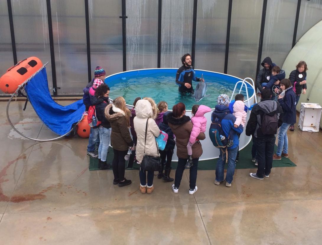 Activitat per a tots els públics (a partir de 6 anys)