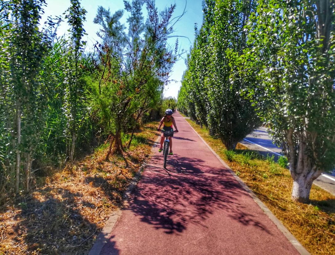 CAMINS SECRETS DEL LLOBREGAT - Descobreix els senders del Baix Llobregat !