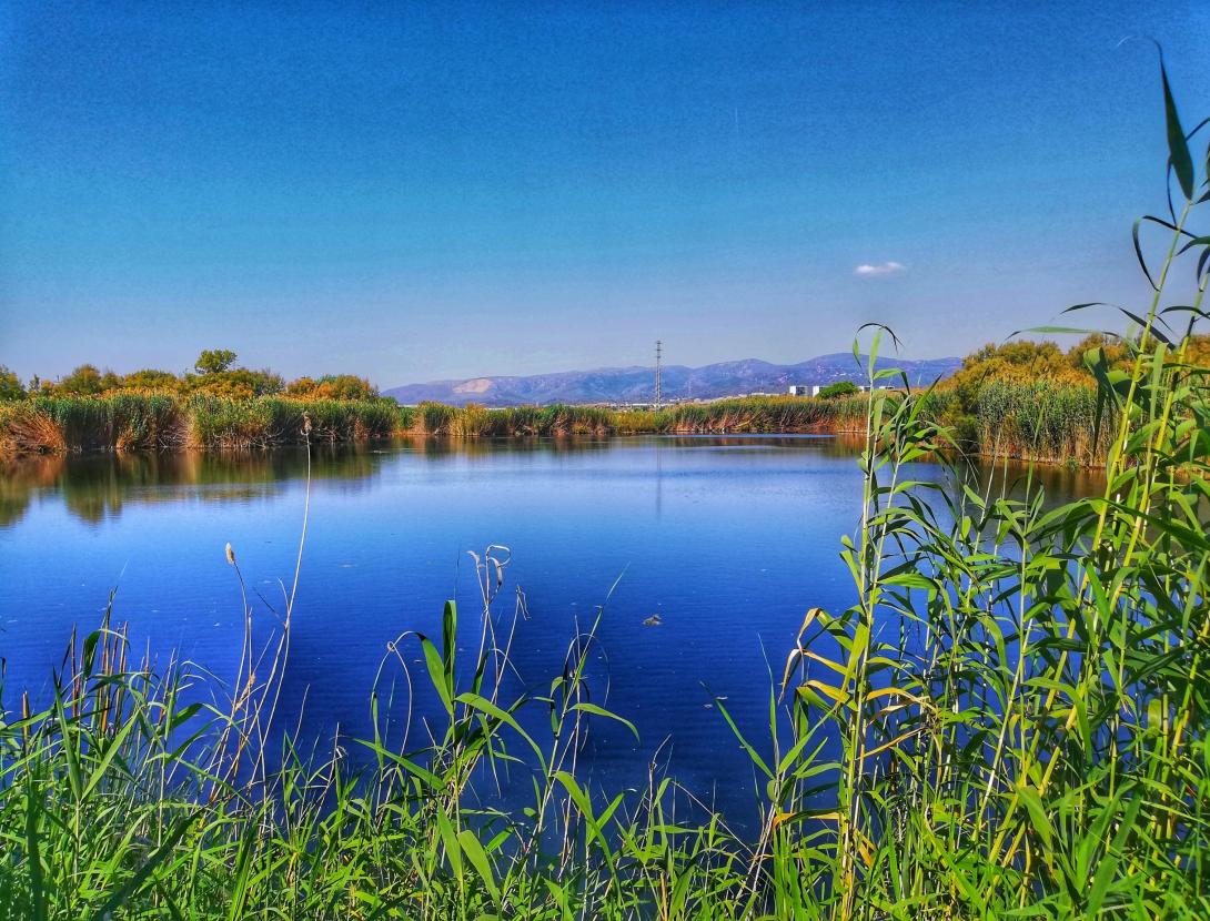 CAMINS SECRETS DEL LLOBREGAT - Descobreix els senders del Baix Llobregat !