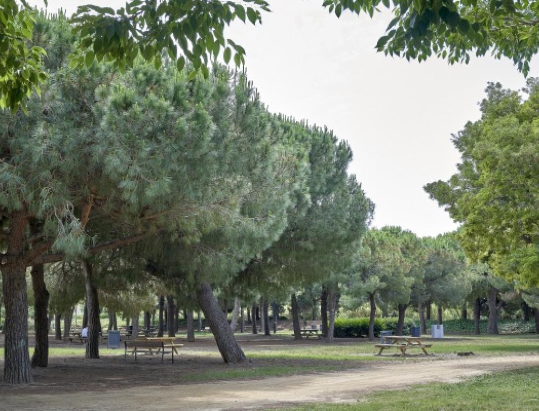 Jugateca del parc Nou: Civisme al parc