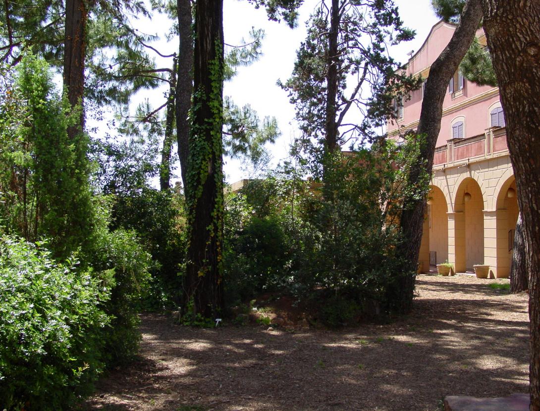 jardí botànic.jpg