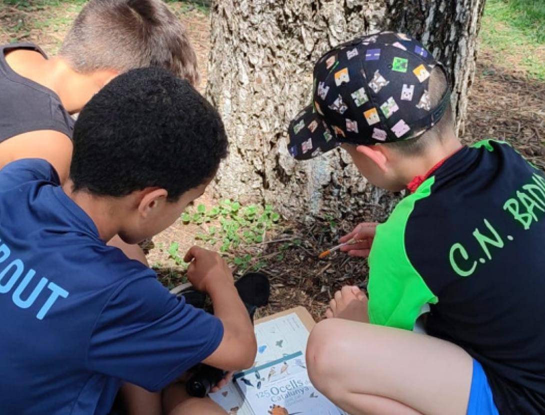 JUGATECA DEL PARC DEL RIU: CEWNS DE TARDOR