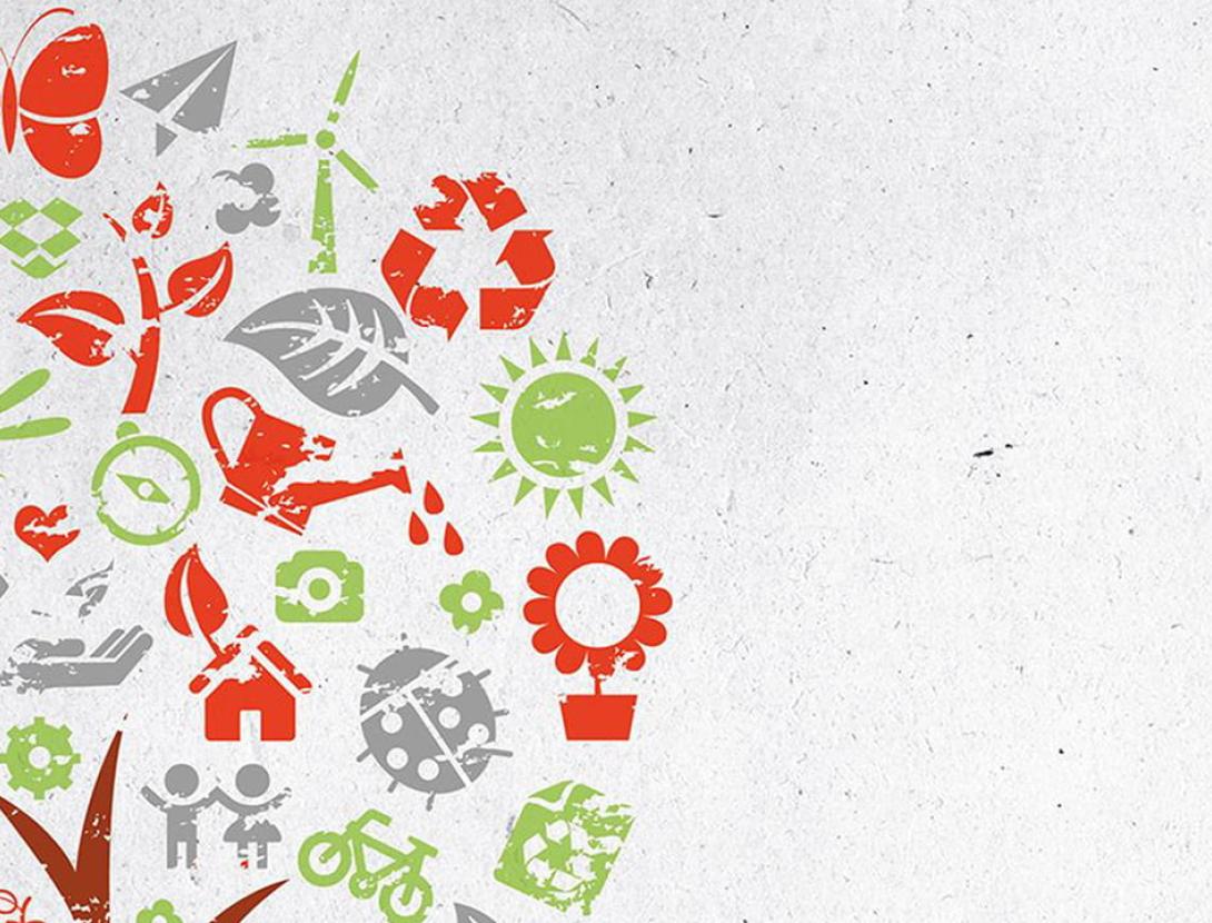 Jugateca ambiental: “Gimcana del canvi climàtic”