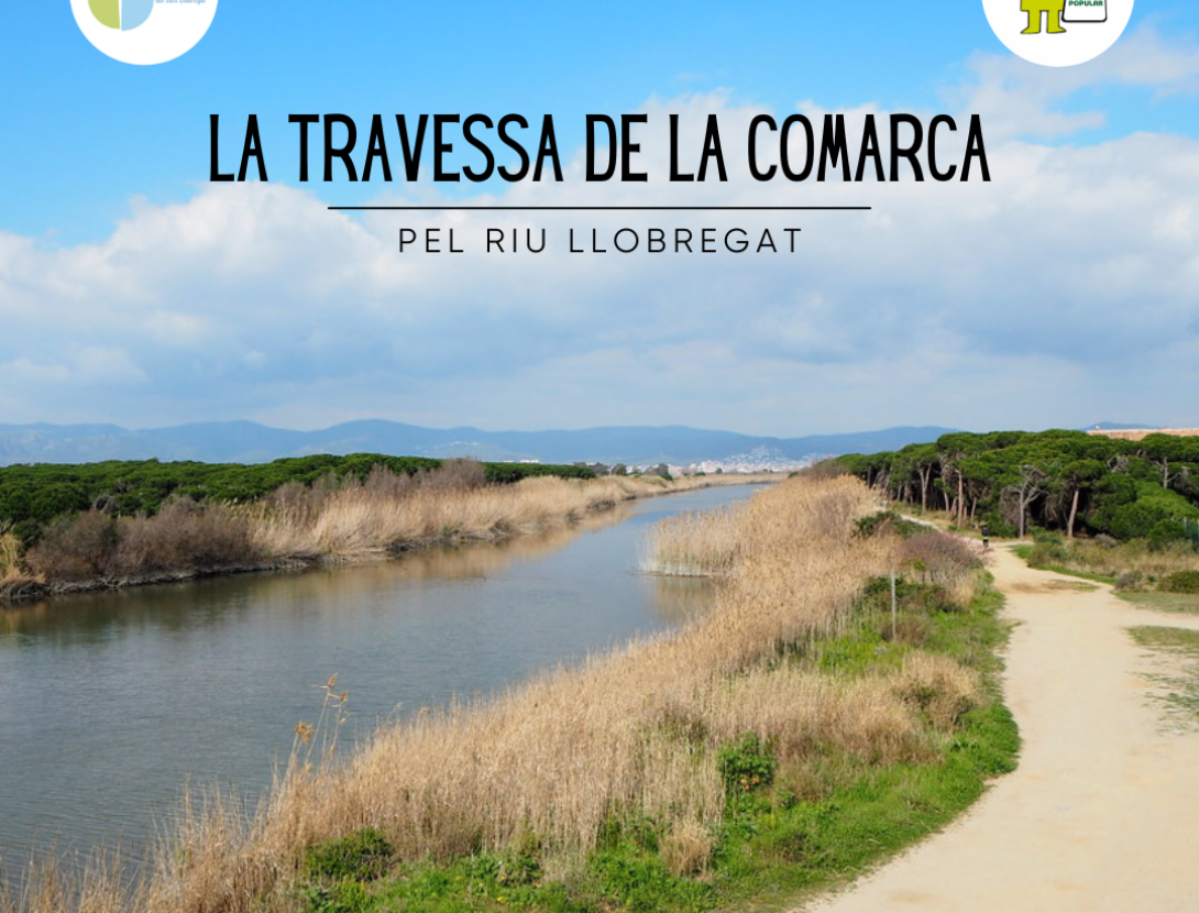 La Travessa de la Comarca