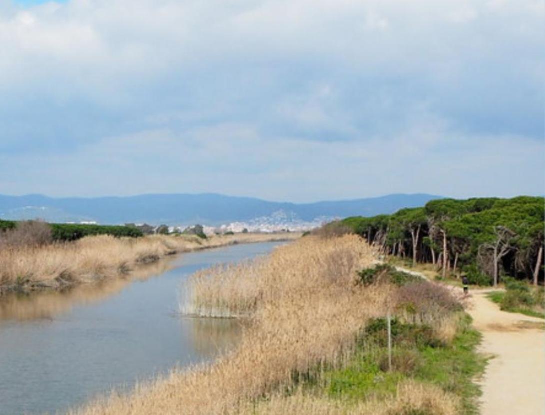 La Travessa de la Comarca