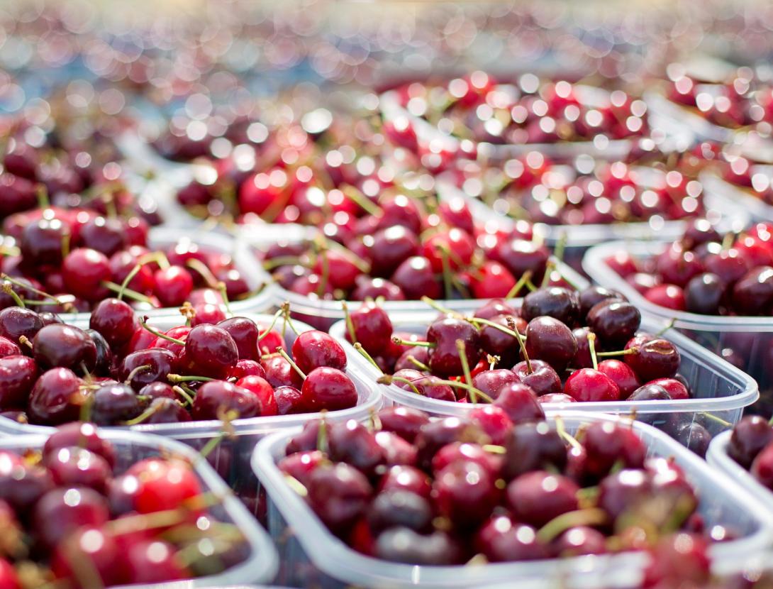 mercats cireres -1433525_1920.jpg