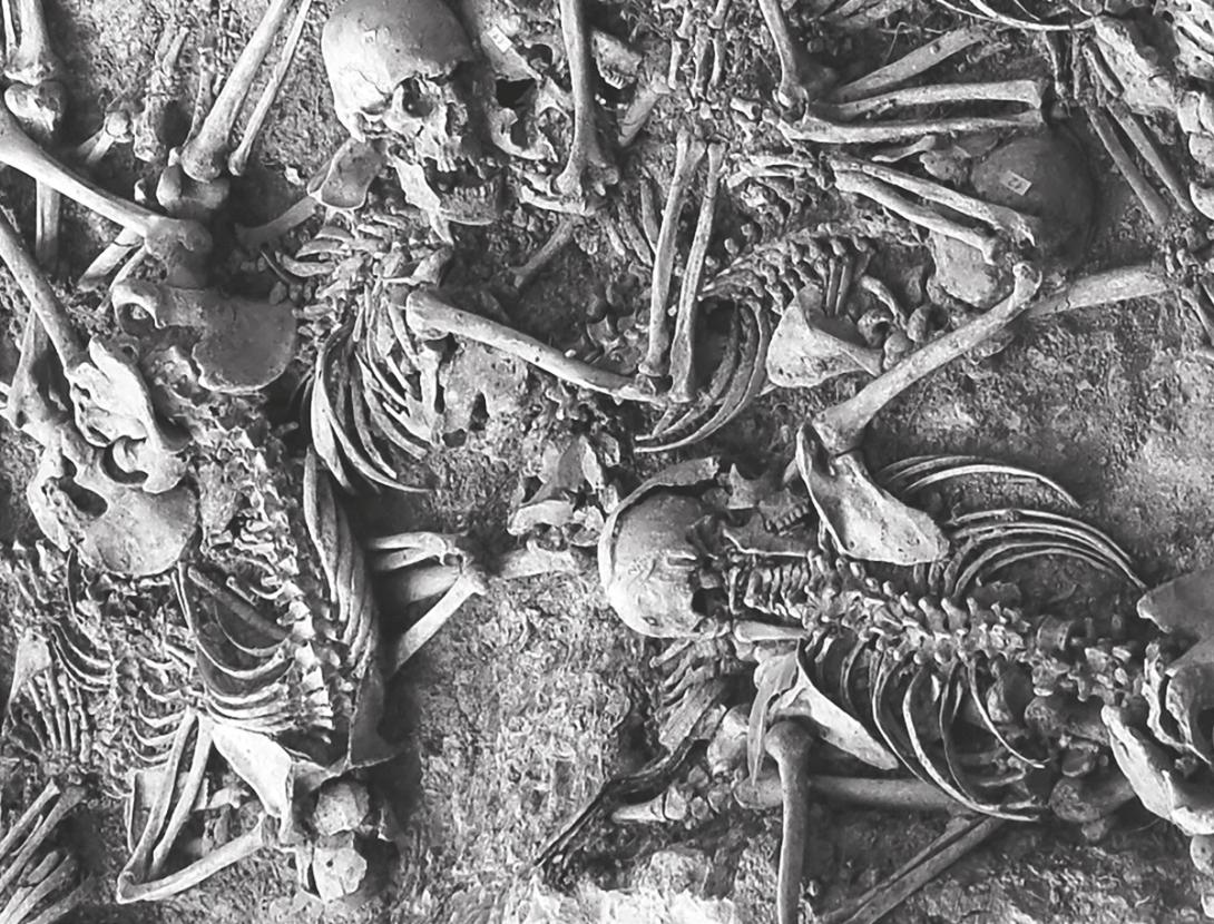 Exposició &quot;On són? 85 anys d’exhumacions de fosses comunes de la Guerra Civil a Catalunya&quot;