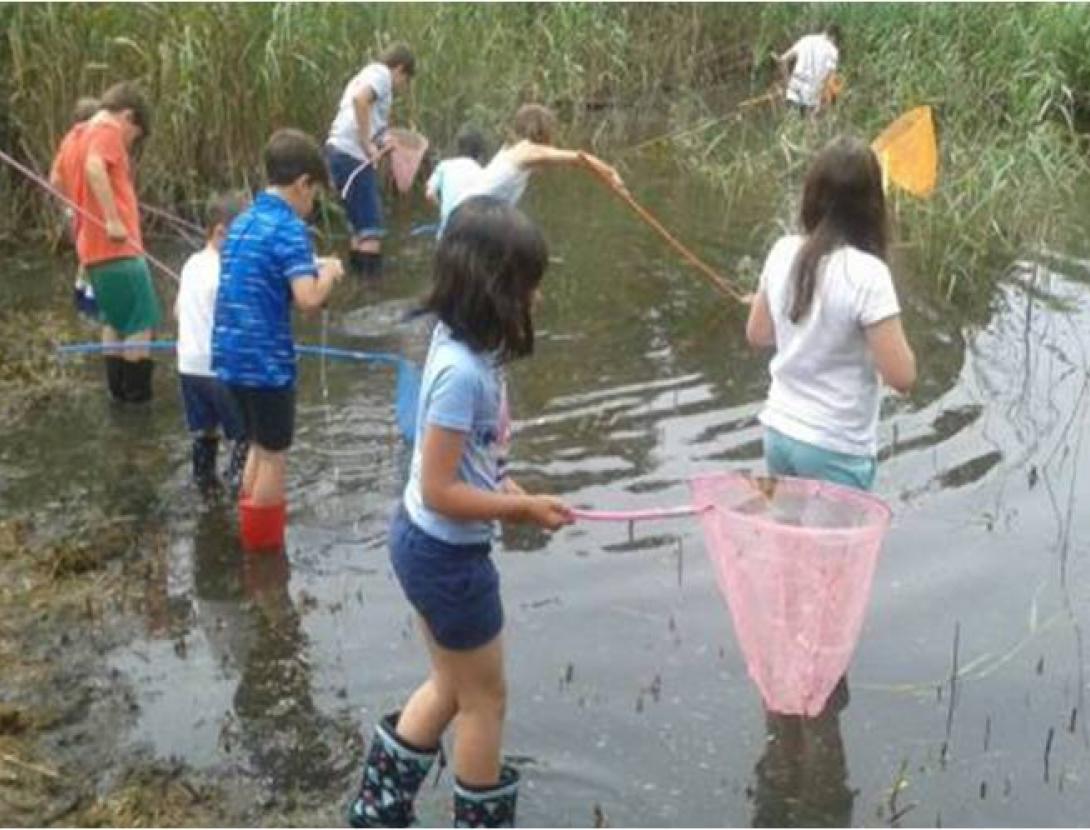 Amb els peus a l'aigua