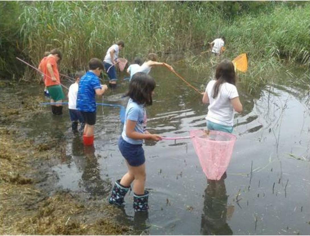 PeusAiguaActivitatinfantil_EspaisNaturalsDeltaLlobregat