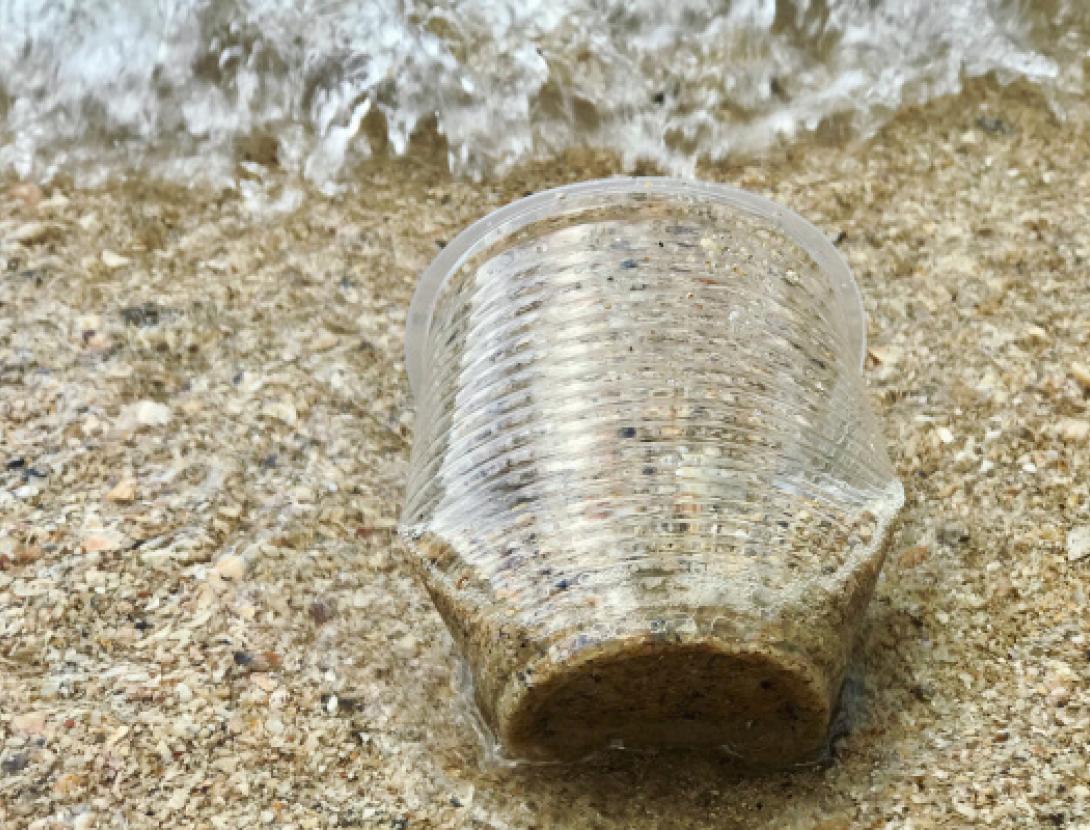 NOVA JUGATECA A LA PLATJA: Experimentem amb els microplàstics