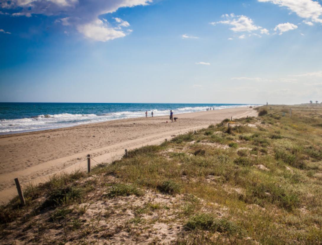 Jugateca de la platja: Acció Platges Met