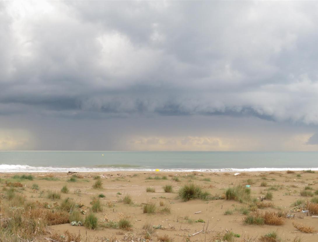 Netegem la platja de Ca l’Arana