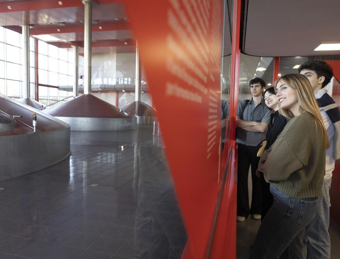 20 % de dte. a la visita guiada a la Fàbrica Estrella Damm amb degustació de cerveses