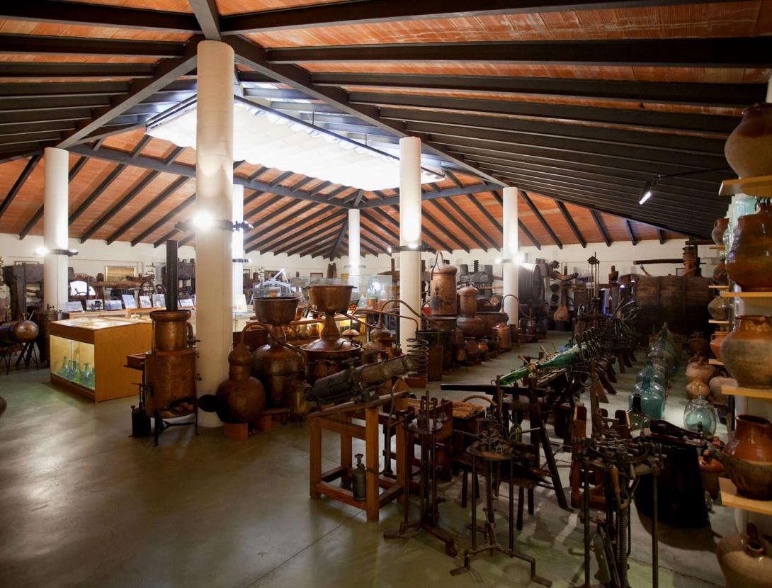 VISITA AL CELLER I MUSEU DEL VI RAMON CANALS AMB DEGUSTACIÓ