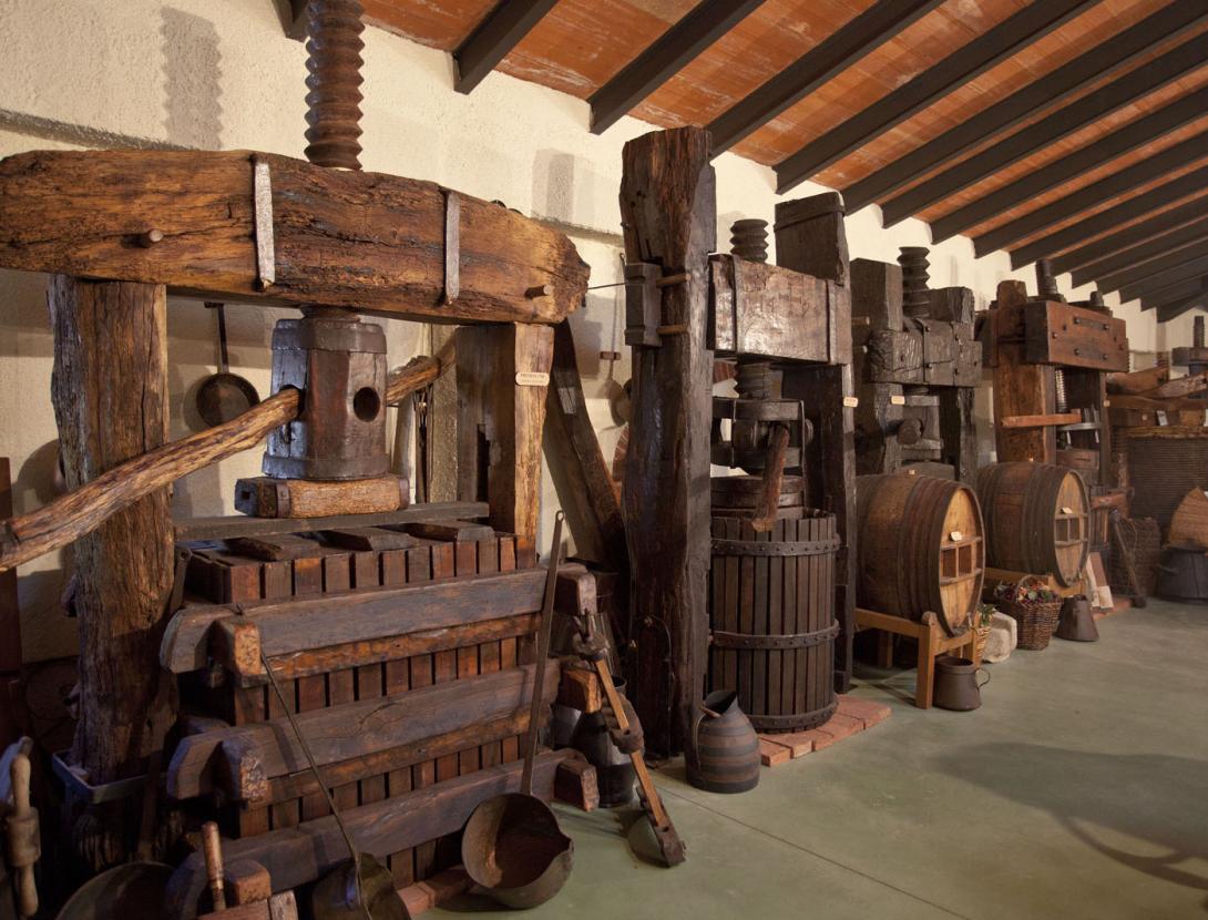 VISITA AL CELLER I MUSEU DEL VI RAMON CANALS