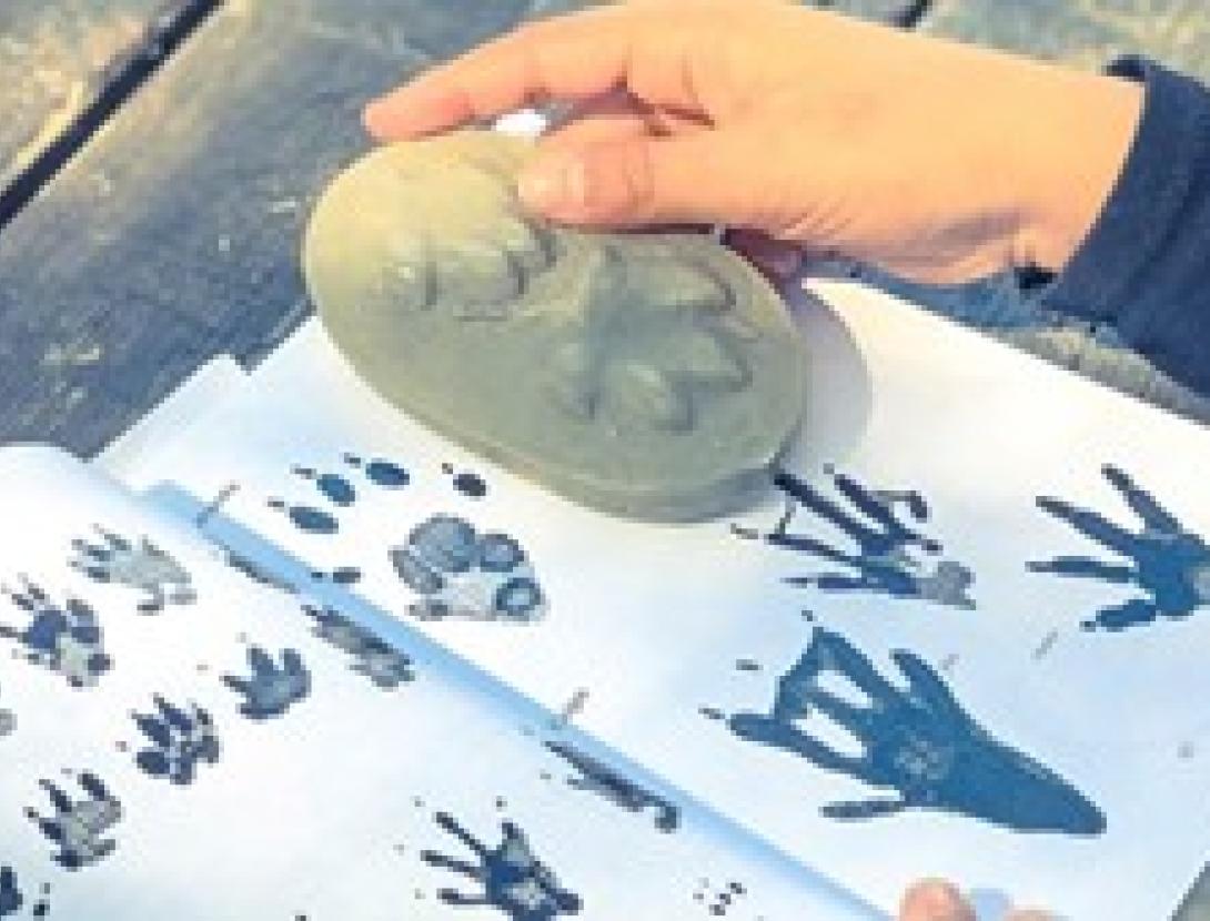 DIA MUNDIAL DE LA BIODIVERSITAT A L’ESPAI NATURAL DEL REMOLAR-FILIPINES