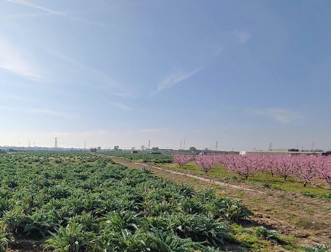 Ruta Carxofera Codis QR2.jpg