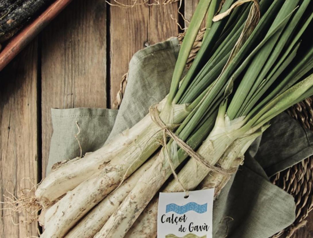 Ruta del Calçot de Gavà