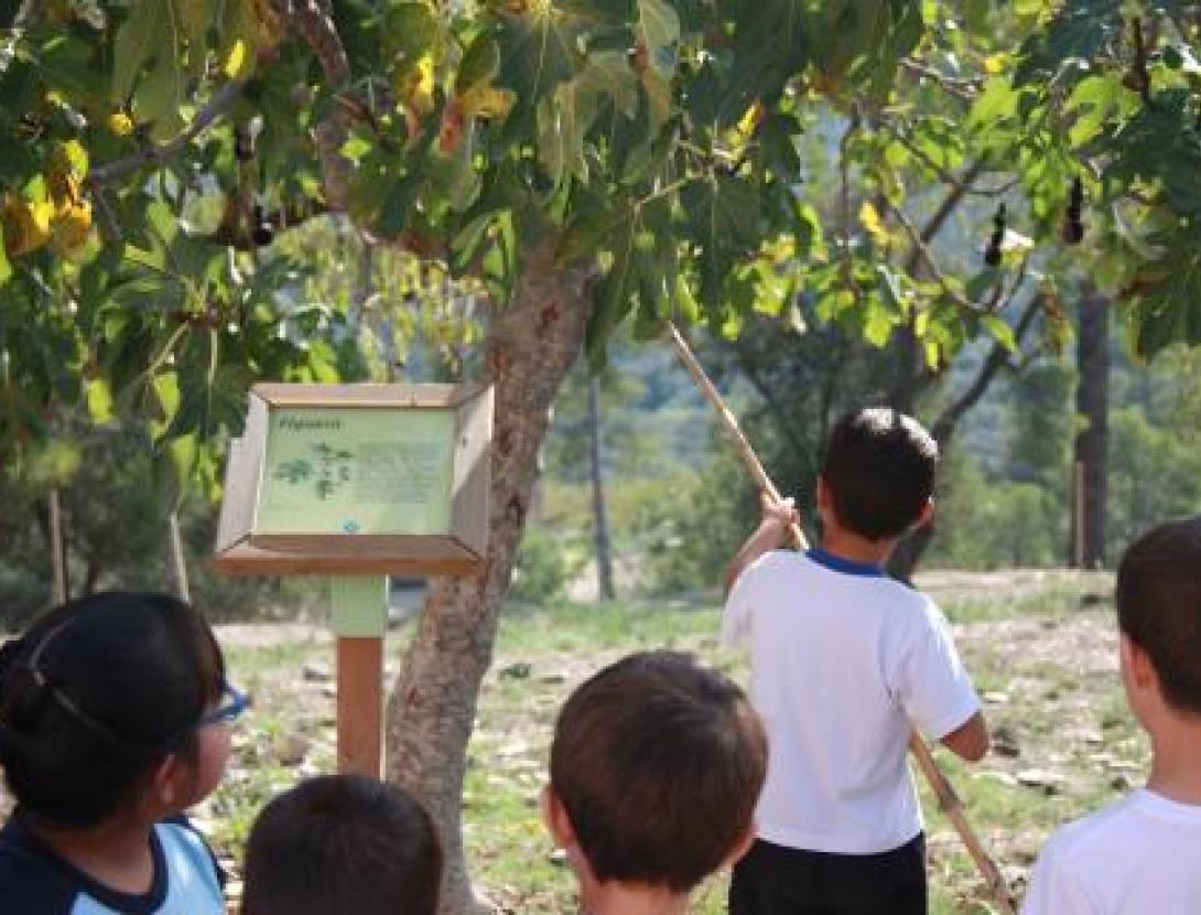 sant boi purissima.jpg