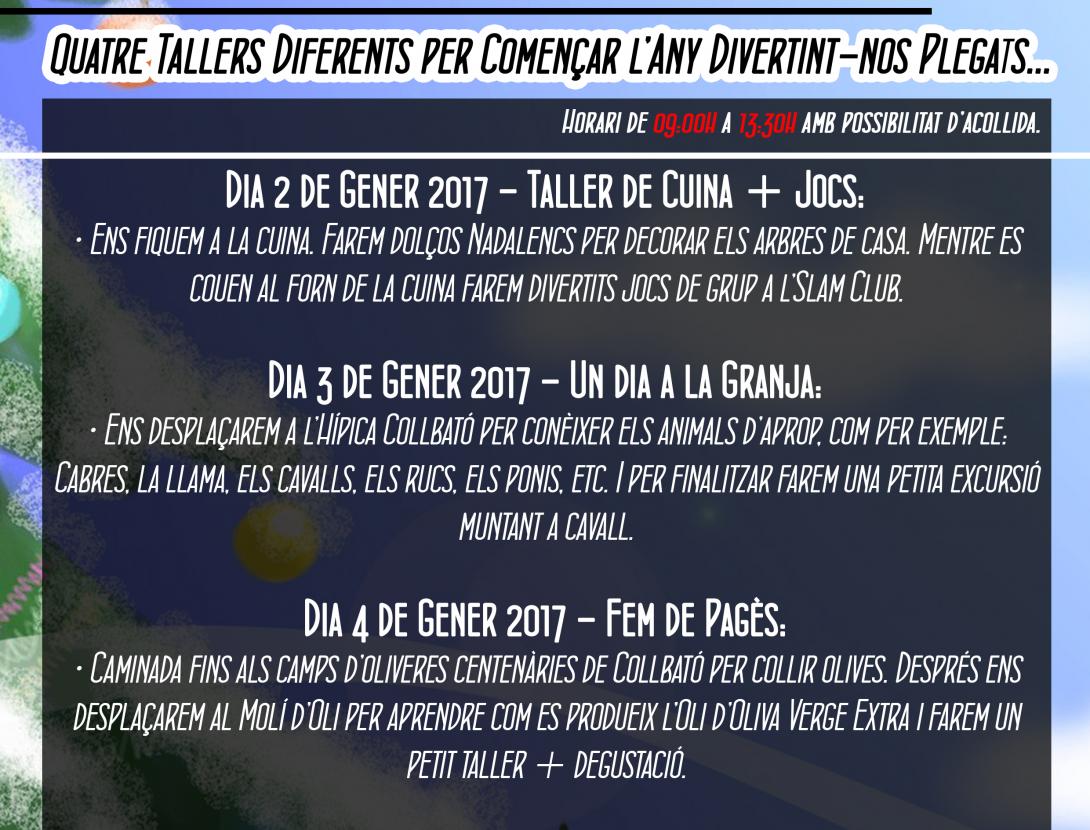 Tallers i Activitats de Nadal.jpg