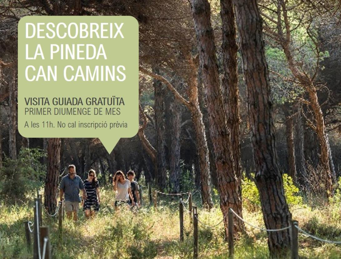 Visita guiada a la Pineda de Can Camins