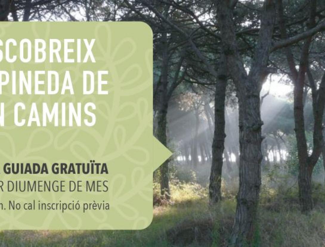 Visita guiada a la Pineda de Can Camins