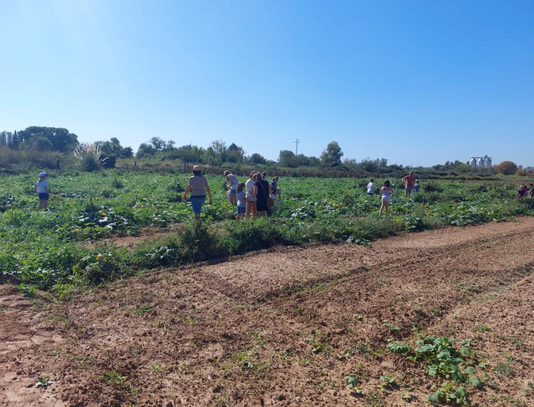 SABORS AMB ARRELS: EL TERROIR DE VILADECANS. Visita a pagès i tast de temporada a la finca Les Marines d’en Tugas