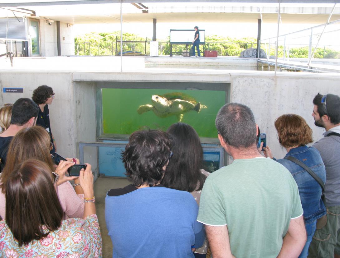 VISITA GUIADA AL CRAM.JPG