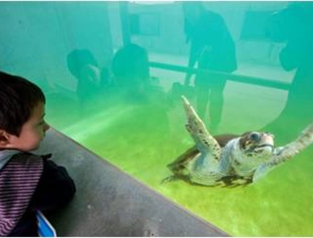 Visita guiada al CRAM