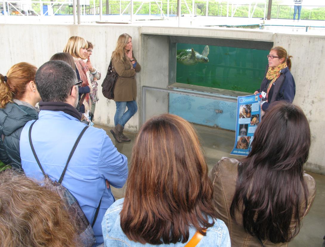 Visita tècnica (2).JPG