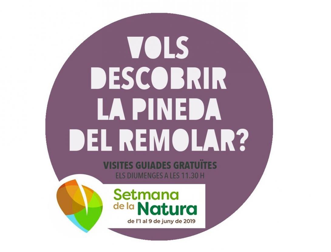 volspinedaremolarsetmananatura (1)_0.jpg