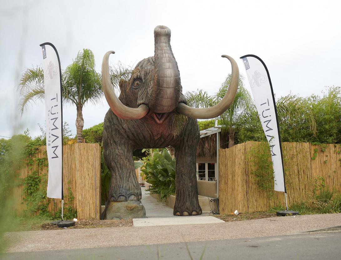 Ven a celebrar las fiestas en Mamut Beach Club